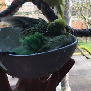 Meet your Posher, Kalynn